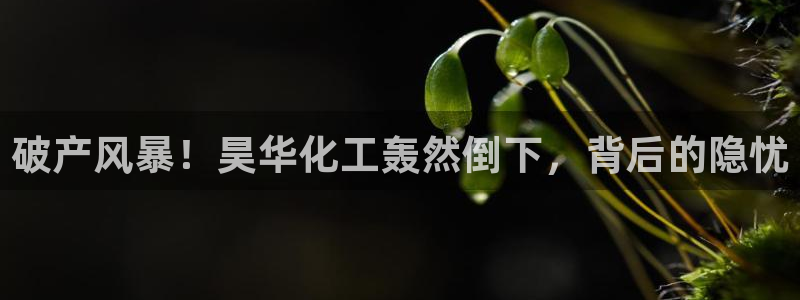 球盟会手机网页版
