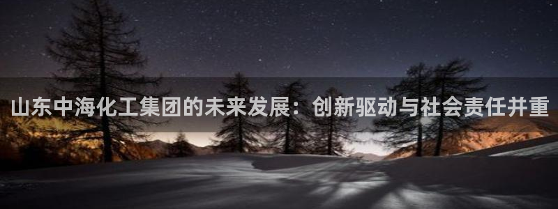 球盟会综合体育平台怎么样：山东中海化工集团的未来发展：创新驱