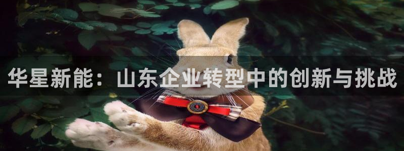 球盟会app：华星新能：山东企业转型中的创新与挑战