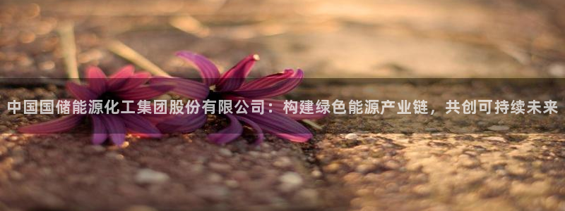 球盟会APP下载：中国国储能源化工集团股份有限公司：构建绿色