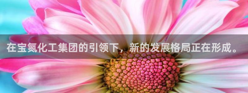 球盟会可以提现么是真的吗：在宝氮化工集团的引领下，新的发展格