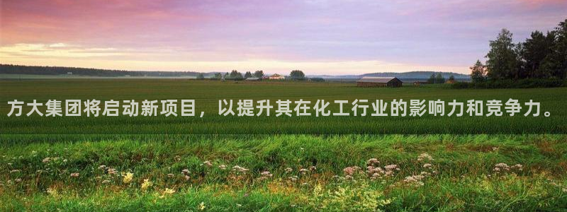 球盟会登陆：方大集团将启动新项目，以提升其在化工行业的影响力
