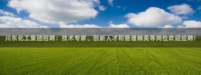 球盟会在线网站：川东化工集团招聘：技术专家、创新人才和管理精