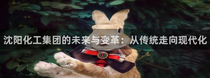 球盟会网址多少：沈阳化工集团的未来与变革：从传统走向现代化