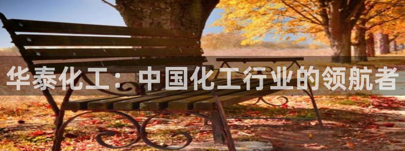 球盟会qmh：华泰化工：中国化工行业的领航者