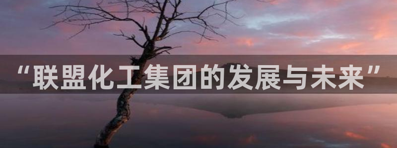球盟会邮箱：“联盟化工集团的发展与未来”