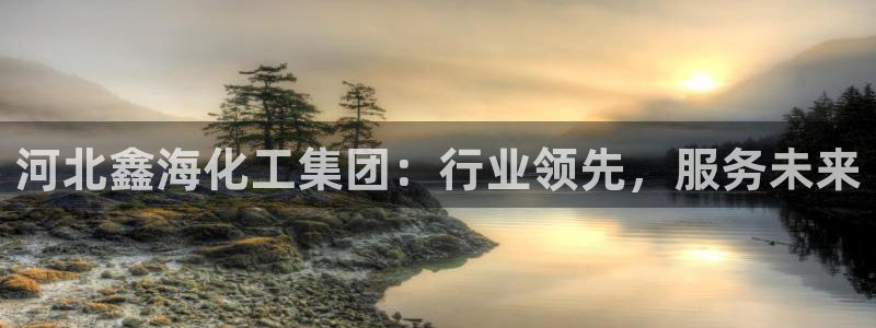 球盟会官方登录平台入口：河北鑫海化工集团：行业领先，服务未来