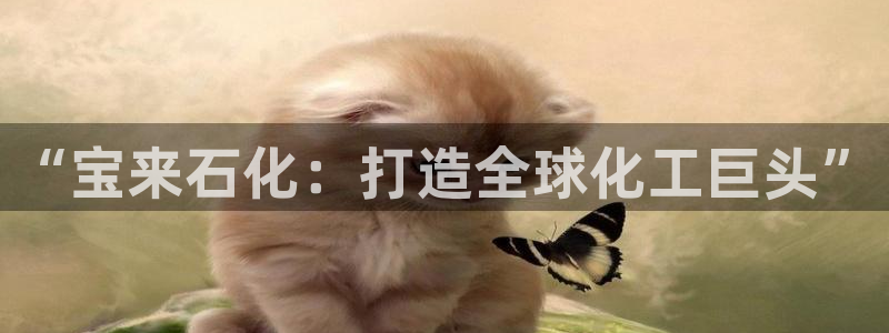 球盟会App：“宝来石化：打造全球化工巨头”