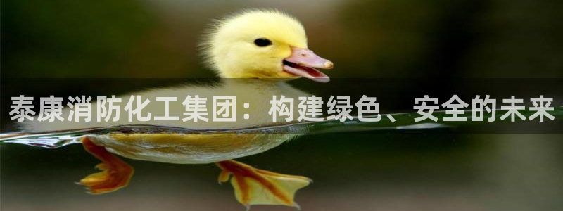 球盟会能提现吗安全吗：泰康消防化工集团：构建绿色、安全的未来