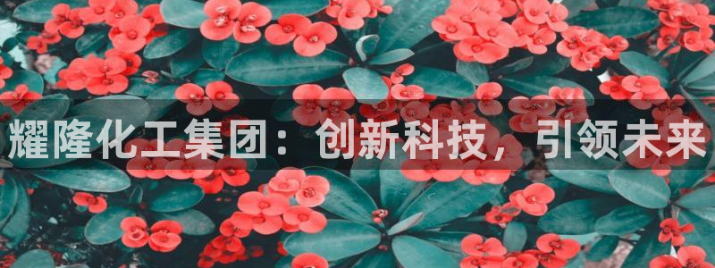 球盟会优惠领取网站是真的吗：耀隆化工集团：创新科技，引领未来