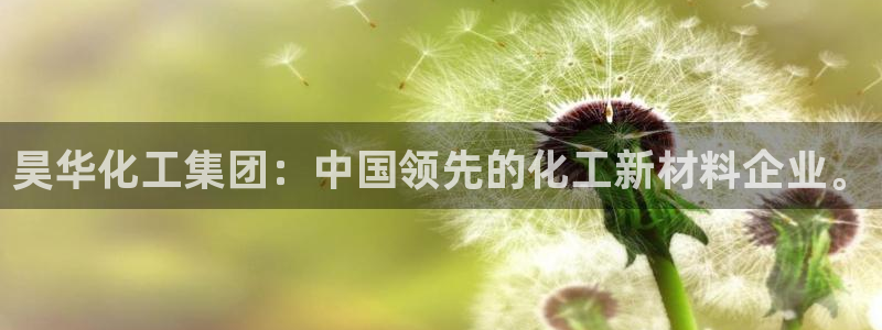 球盟会游戏：昊华化工集团：中国领先的化工新材料企业。