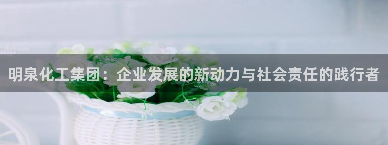 球盟会官方网入口：明泉化工集团：企业发展的新动力与社会责任的