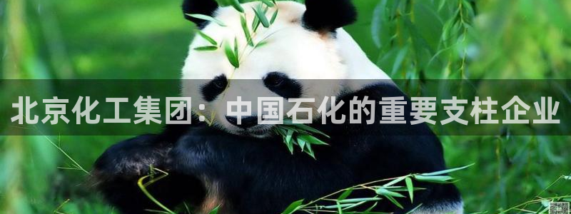 球盟会用的客服聊天是哪个软件：北京化工集团：中国石化的重要支