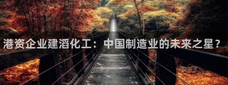 球盟会几点玩合适：港资企业建滔化工：中国制造业的未来之星？