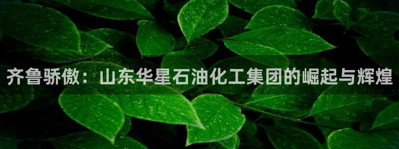 球盟会乐虎：齐鲁骄傲：山东华星石油化工集团的崛起与辉煌