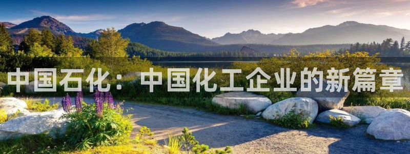 球盟会优惠券：中国石化：中国化工企业的新篇章
