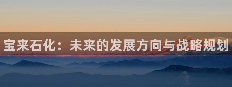 球盟会贴吧：宝来石化：未来的发展方向与战略规划