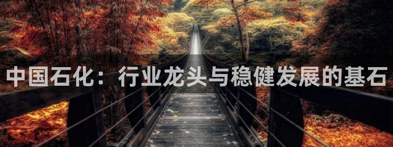球盟会APP官网：中国石化：行业龙头与稳健发展的基石