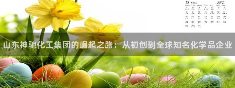 球盟会app网址多少号：山东神驰化工集团的崛起之路：从初创到