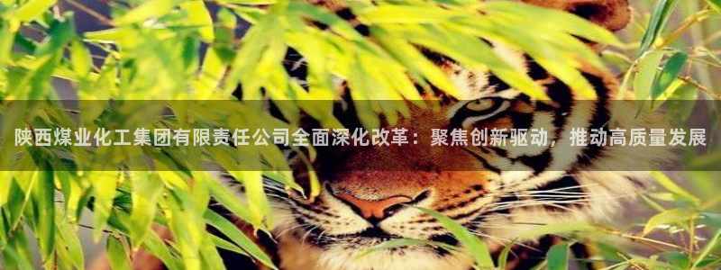 球盟会最新：陕西煤业化工集团有限责任公司全面深化改革：聚焦创
