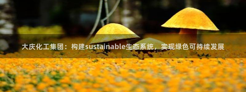 球盟会网页版登陆：大庆化工集团：构建sustainable生
