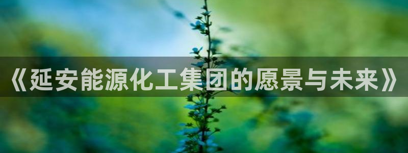 球盟会qmh - 球盟会官方网站：《延安能源化工集团的愿景与