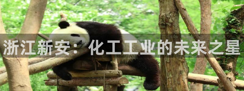 球盟会登陆：浙江新安：化工工业的未来之星