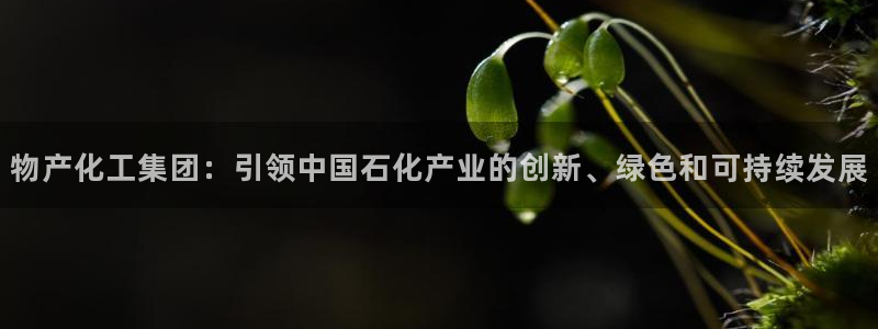球盟会平台会黑单吗：物产化工集团：引领中国石化产业的创新、绿