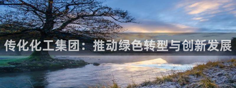 球盟会app网址多少：传化化工集团：推动绿色转型与创新发展