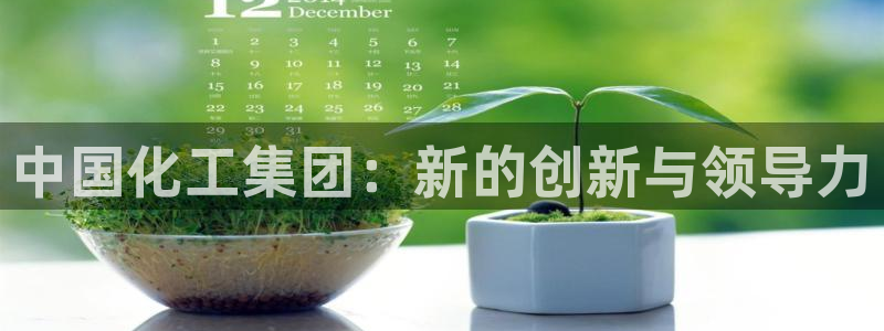 球盟会中国官方网站：中国化工集团：新的创新与领导力
