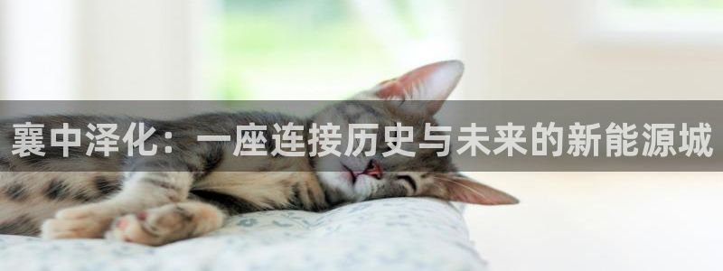 球盟会类似的网站：襄中泽化：一座连接历史与未来的新能源城