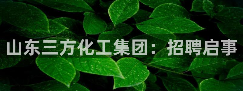 球盟会网页版登陆：山东三方化工集团：招聘启事