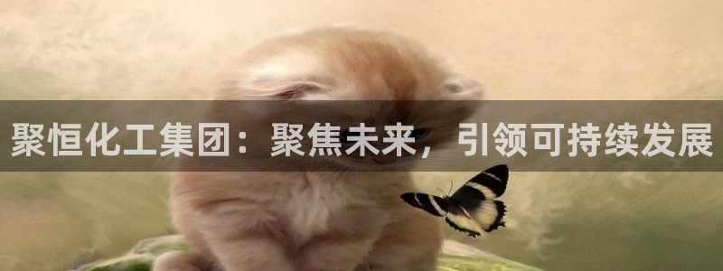 球盟会App：聚恒化工集团：聚焦未来，引领可持续发展
