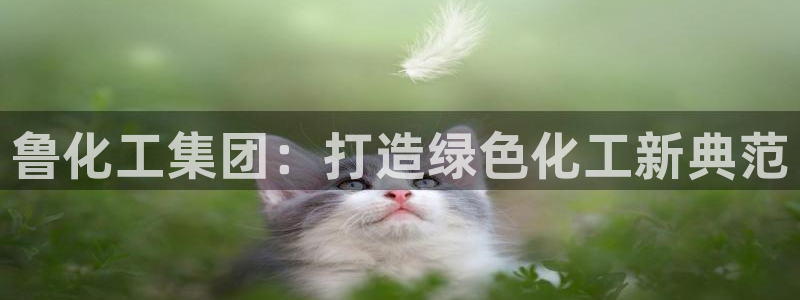 球盟会优惠码：鲁化工集团：打造绿色化工新典范