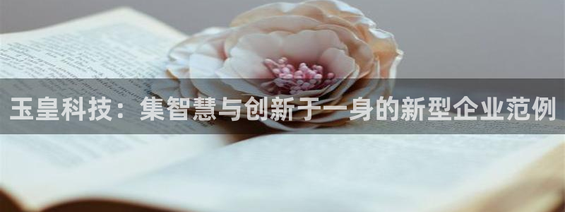 球盟会app网址多少：玉皇科技：集智慧与