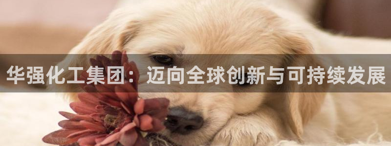 球盟会网页登录：华强化工集团：迈向全球创新与可持续发展