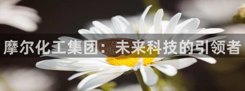 球盟会官网登录入口：摩尔化工集团：未来科技的引领者
