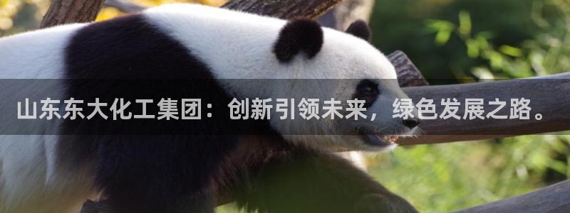 球盟会黑嘛：山东东大化工集团：创新引领未来，绿色发展之路。