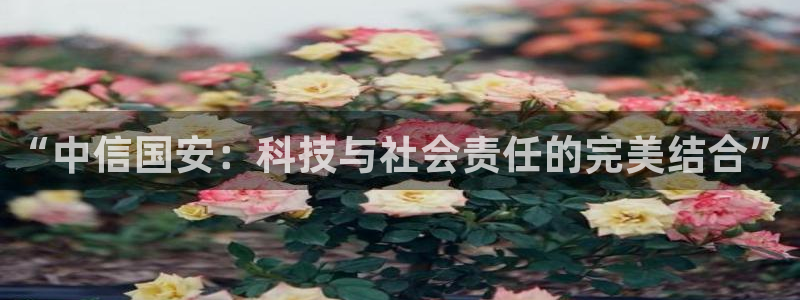 球盟会qmh - 球盟会官方网站：“中信国安：科技与社会责任