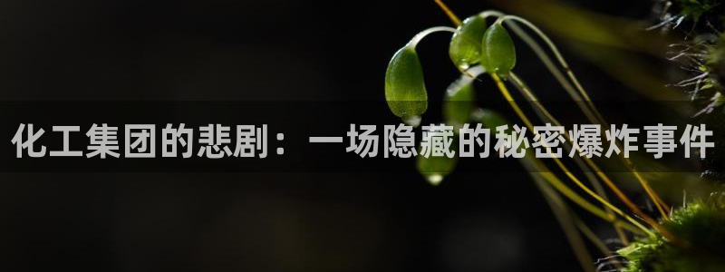 球盟会里面有打牌的嘛知乎：化工集团的悲剧：一场隐藏的秘密爆炸