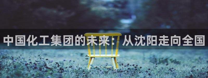 球盟会邮箱：中国化工集团的未来：从沈阳走向全国