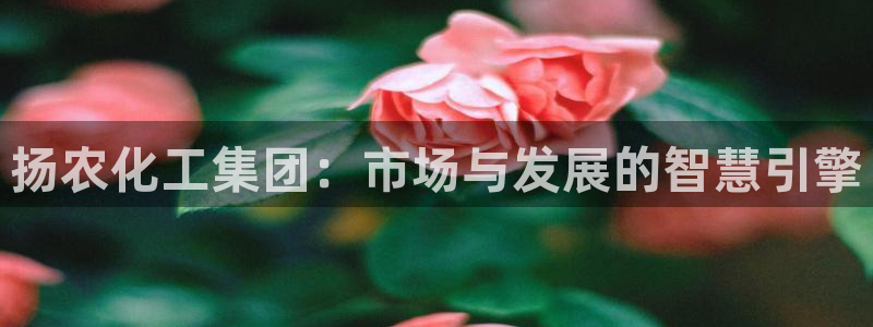 球盟会综合app下载：扬农化工集团：市场与发展的智慧引擎