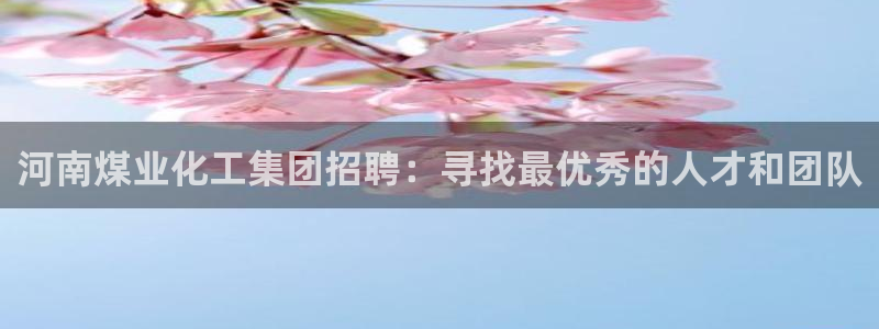 球盟会封号：河南煤业化工集团招聘：寻找最优秀的人才和团队