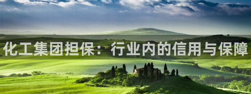 球盟会qmh：化工集团担保：行业内的信用与保障