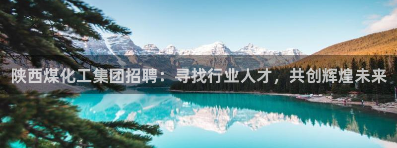 球盟会乐虎：陕西煤化工集团招聘：寻找行业人才，共创辉煌未来