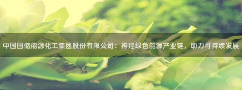球盟会黑款吗知乎：中国国储能源化工集团股份有限公司：构建绿色
