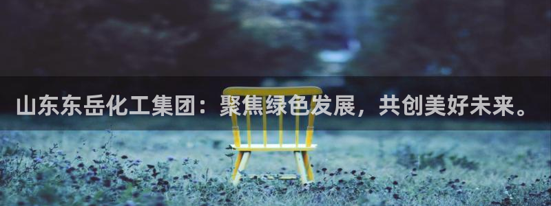 球盟会qmh网址：山东东岳化工集团：聚焦绿色发展，共创美好未