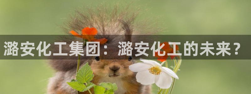 球盟会优惠券：潞安化工集团：潞安化工的未来？