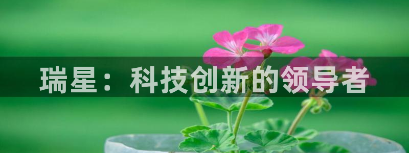 球盟会app最新地址在哪：瑞星：科技创新的领导者