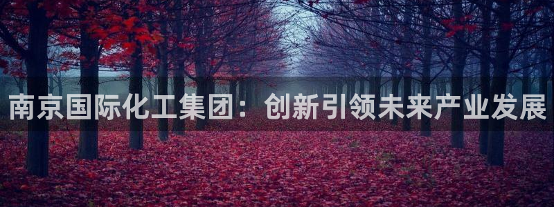球盟会app最新地址在哪里：南京国际化工集团：创新引领未来产
